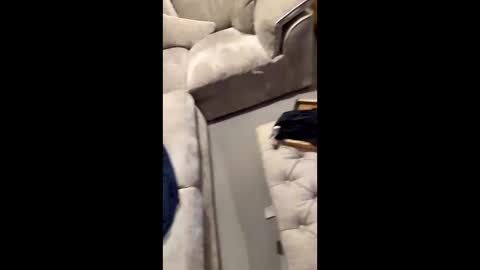 Snapshot of gt79802068 chatting on November 2025 07:03:02 PM gt79802068 online show from November 2025 07:03:02 PM