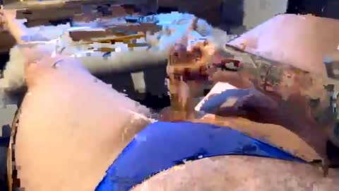 Snapshot of gt79802068 chatting on January 2026 06:07:02 AM gt79802068 online show from January 2026 06:07:02 AM