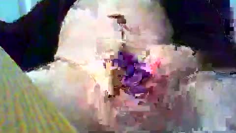 Gary online show from January 2025 03:58:01 PM