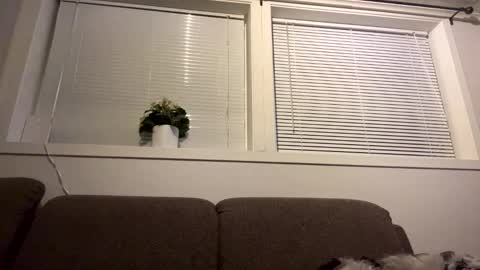 scandixxxs Cam online show from October 2025 01:06:01 AM