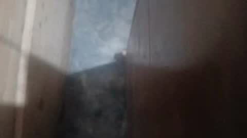 guidogomezcag online show from July 2026 05:48:02 AM
