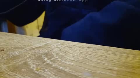 Franky online show from September 2025 10:56:02 PM