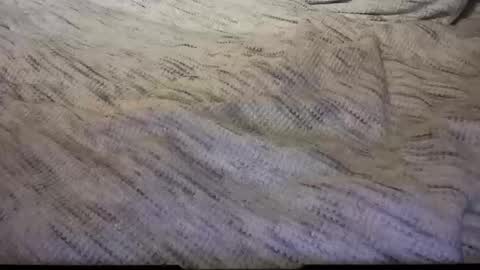 gumbywanna online show from February 2025 05:08:01 AM