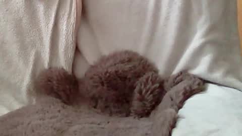 h0mi4u online show from April 2026 08:35:01 AM