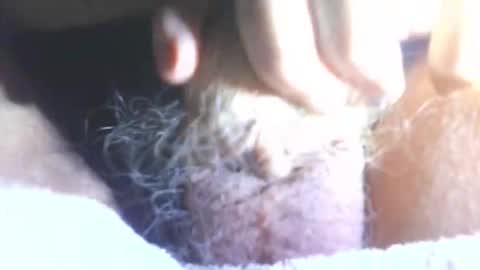 Snapshot of hagridthehorrible chatting on January 2026 06:57:01 PM hagridthehorrible online show from January 2026 06:57:01 PM