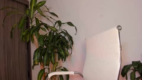 Hailey online show from October 2025 10:21:01 AM