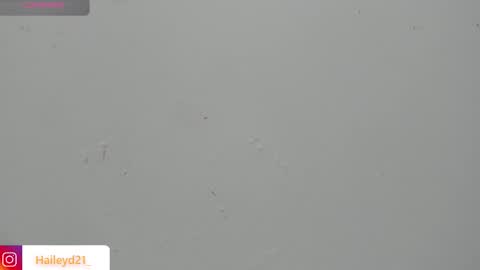 Snapshot of haileyduke chatting on March 2026 02:48:01 AM Hailey online show from March 2026 02:48:01 AM