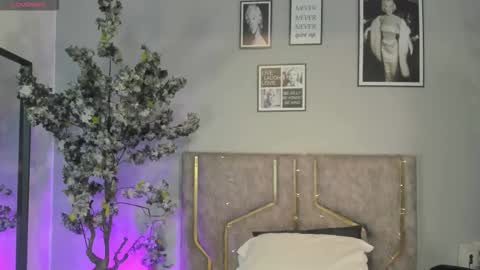 haileystonei online show from December 2025 11:30:02 AM