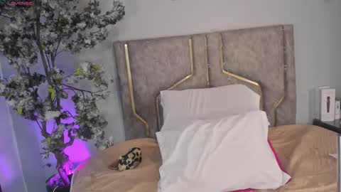 haileystonei online show from December 2025 11:59:02 AM