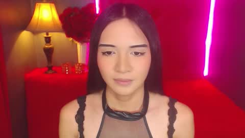 Haily online show from February 2026 09:56:01 AM