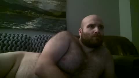 Hairiest Bear online show from January 2025 09:47:01 AM