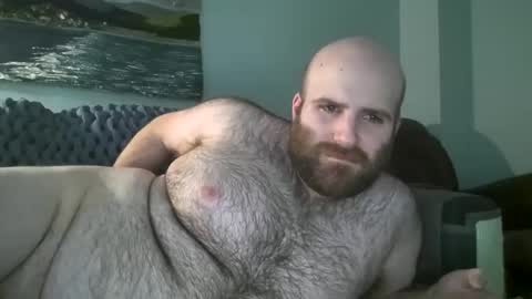 Hairiest Bear online show from January 2025 03:47:01 PM