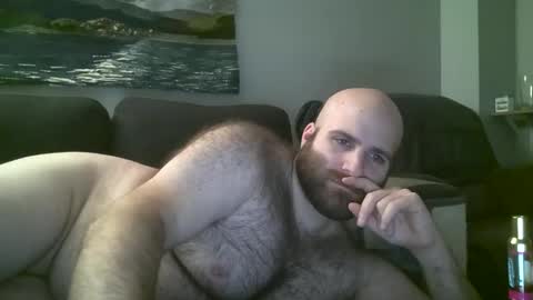 Hairiest Bear online show from January 2025 07:58:01 AM