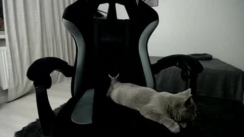 Snapshot of hairycuss chatting on January 2025 05:05:01 AM Adam online show from January 2025 05:05:01 AM