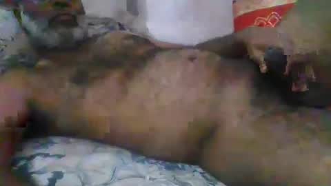 Pratap online show from March 2026 05:40:02 PM