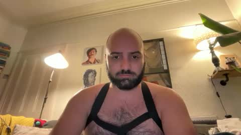 Hairy Guy online show from February 2026 09:44:01 PM