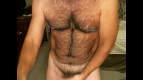 Snapshot of hairypecsguy chatting on November 2025 08:47:01 AM Hairy pecs online show from November 2025 08:47:01 AM