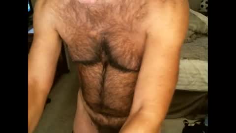 Snapshot of hairypecsguy chatting on November 2025 09:09:02 AM Hairy pecs online show from November 2025 09:09:02 AM