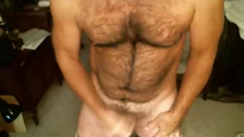 Snapshot of hairypecsguy chatting on November 2025 08:41:02 PM Hairy pecs online show from November 2025 08:41:02 PM