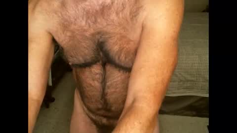 Snapshot of hairypecsguy chatting on November 2025 08:39:02 AM Hairy pecs online show from November 2025 08:39:02 AM