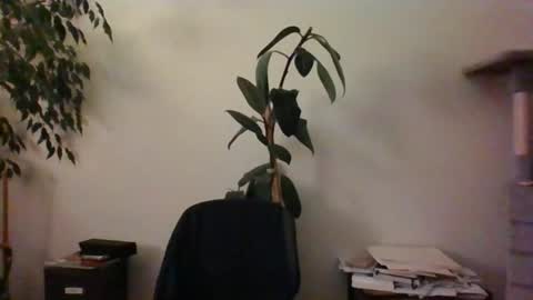 hairypussylover089 online show from June 2026 04:11:02 AM