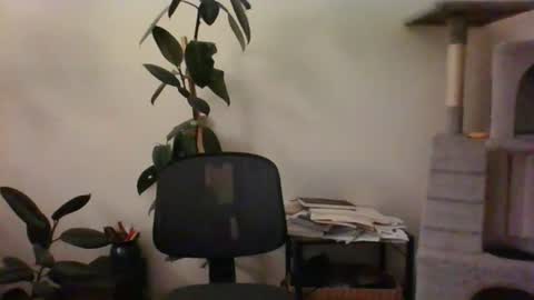 hairypussylover089 online show from July 2026 04:36:02 AM