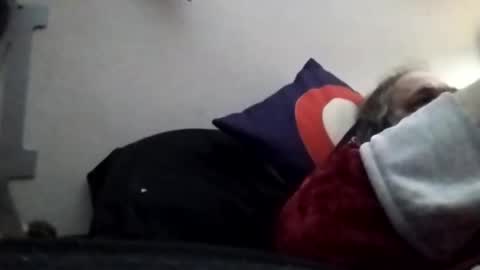 Snapshot of hairyspermballs chatting on January 2026 02:03:01 AM Marty online show from January 2026 02:03:01 AM