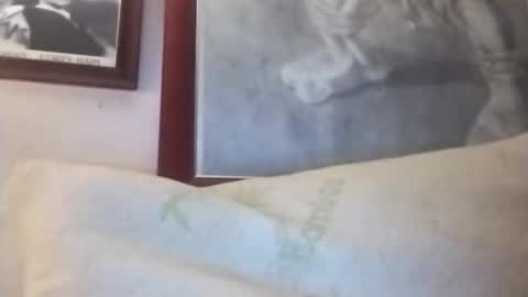 Snapshot of hairyspermballs chatting on January 2026 01:33:01 AM Marty online show from January 2026 01:33:01 AM