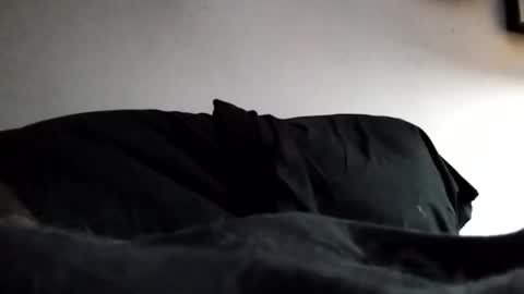 Snapshot of hairyspermballs chatting on February 2026 12:53:01 AM Marty online show from February 2026 12:53:01 AM