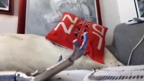 Snapshot of hairyspermballs chatting on February 2026 09:24:02 PM Marty online show from February 2026 09:24:02 PM