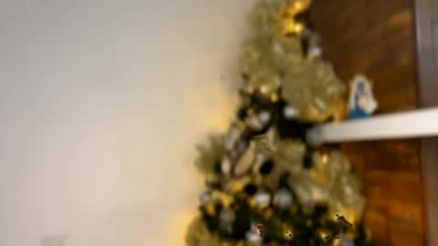 Independent       model  online show from December 2024 02:42:01 AM