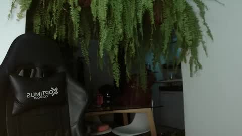 halan online show from March 2025 07:05:02 AM