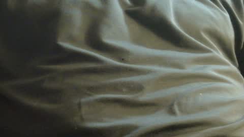 hamhead71 online show from December 2024 10:03:02 PM