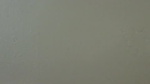 hamhead71 online show from February 2025 05:41:01 AM