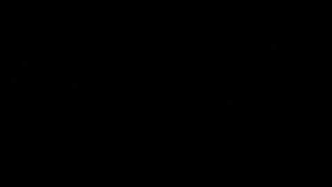 Handcyclist25 online show from March 2025 03:40:01 AM