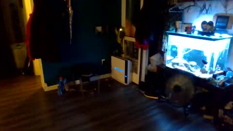 handsomerob42 online show from May 2026 06:25:01 PM