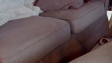 Handy Andy online show from July 2026 01:18:01 PM