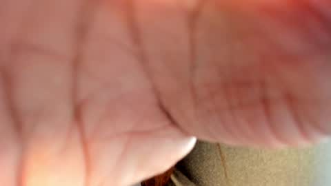 Hanna online show from January 2025 08:56:02 PM