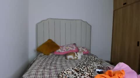 Hanna online show from December 2024 03:31:01 PM