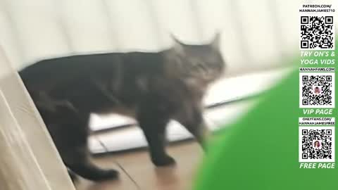 Hannah James online show from April 2026 04:16:01 PM