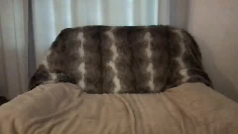 hannahsometimes694u online show from March 2026 08:14:02 AM