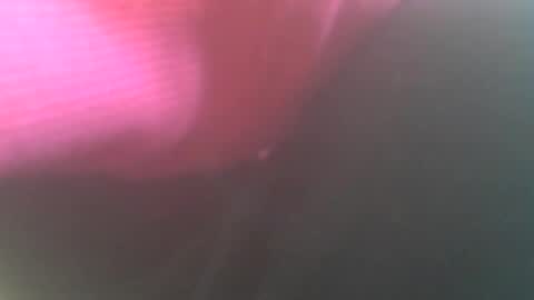 Snapshot of hannes_k chatting on December 2024 09:55:01 AM hannes_k online show from December 2024 09:55:01 AM