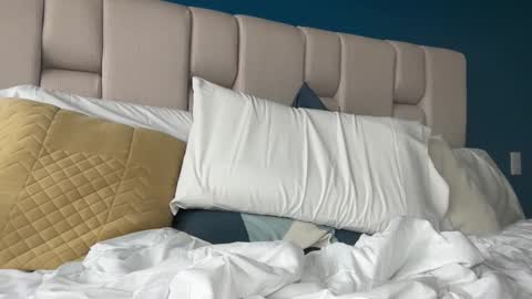 hanzlagerfelt online show from November 2025 08:52:02 PM