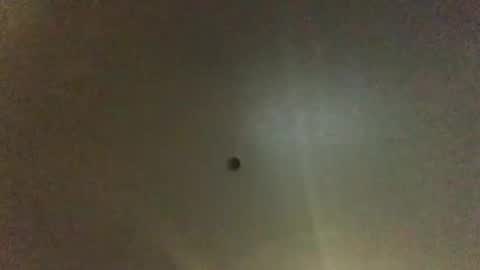 Snapshot of hardforyou3030 chatting on January 2025 08:45:01 AM For You online show from January 2025 08:45:01 AM