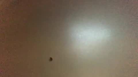 Snapshot of hardforyou3030 chatting on February 2026 11:36:02 PM For You online show from February 2026 11:36:02 PM