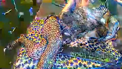 Irina online show from February 2025 12:46:02 PM