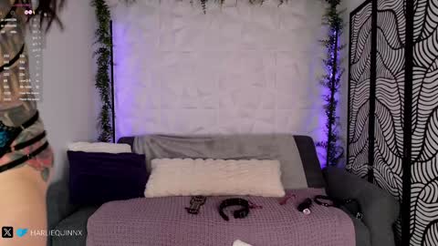 Snapshot of harliequinnx chatting on January 2025 04:41:02 AM Harliequinnx - Schedule Below Exxxotica DC Dec 6-8th online show from January 2025 04:41:02 AM