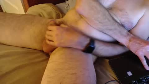 harrison2024 online show from February 2025 05:10:01 AM