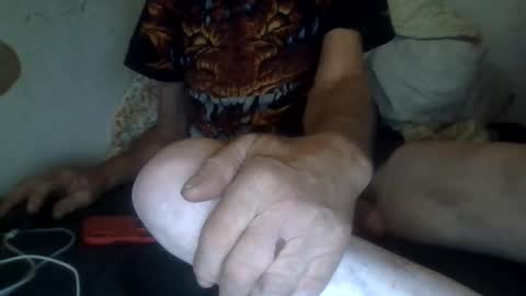 harry1cannary online show from November 2025 07:29:01 AM