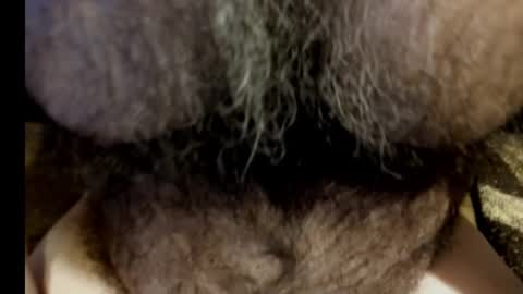 Snapshot of harry_banana chatting on March 2025 08:55:01 AM harry_banana online show from March 2025 08:55:01 AM